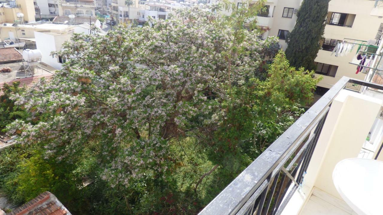 Kimonos Guesthouse ลาร์นาคา ภายนอก รูปภาพ